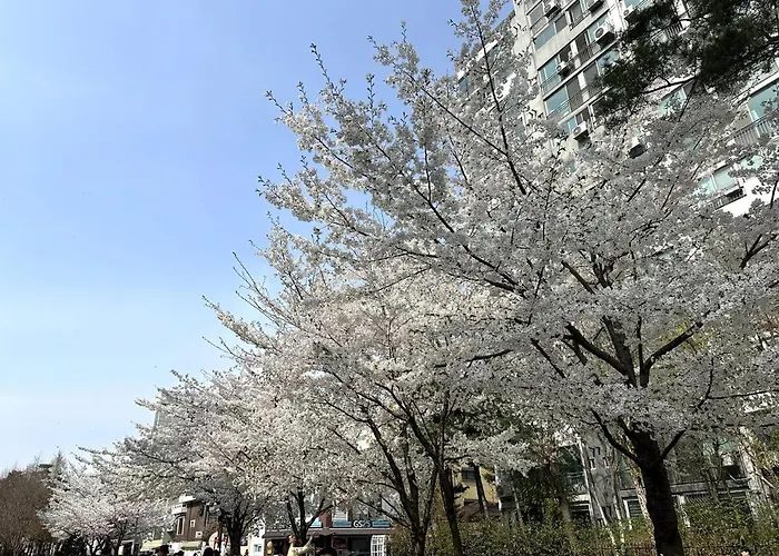 Appartement #mangwon Market#han River Park#mangnidan-gil#10 Minutes To Hongdae#4 Queen Beds Seoel