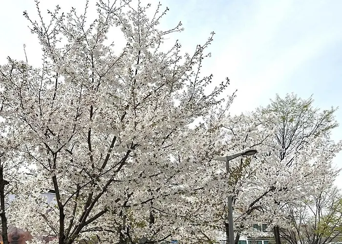 #mangwon Market#han River Park#mangnidan-gil#10 Minutes To Hongdae#4 Queen Beds Appartement Seoel